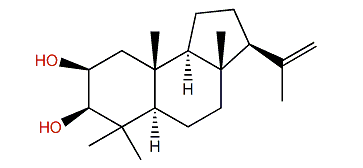 Hymerhabdrin A